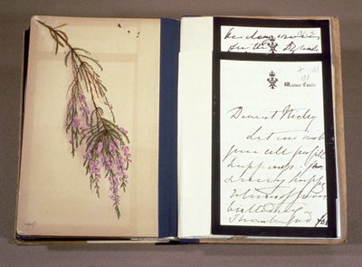 Letter from Queen Victoria to Tsarevich Nikolai Alexandrovich, 22nd April 1894 by Queen Victoria